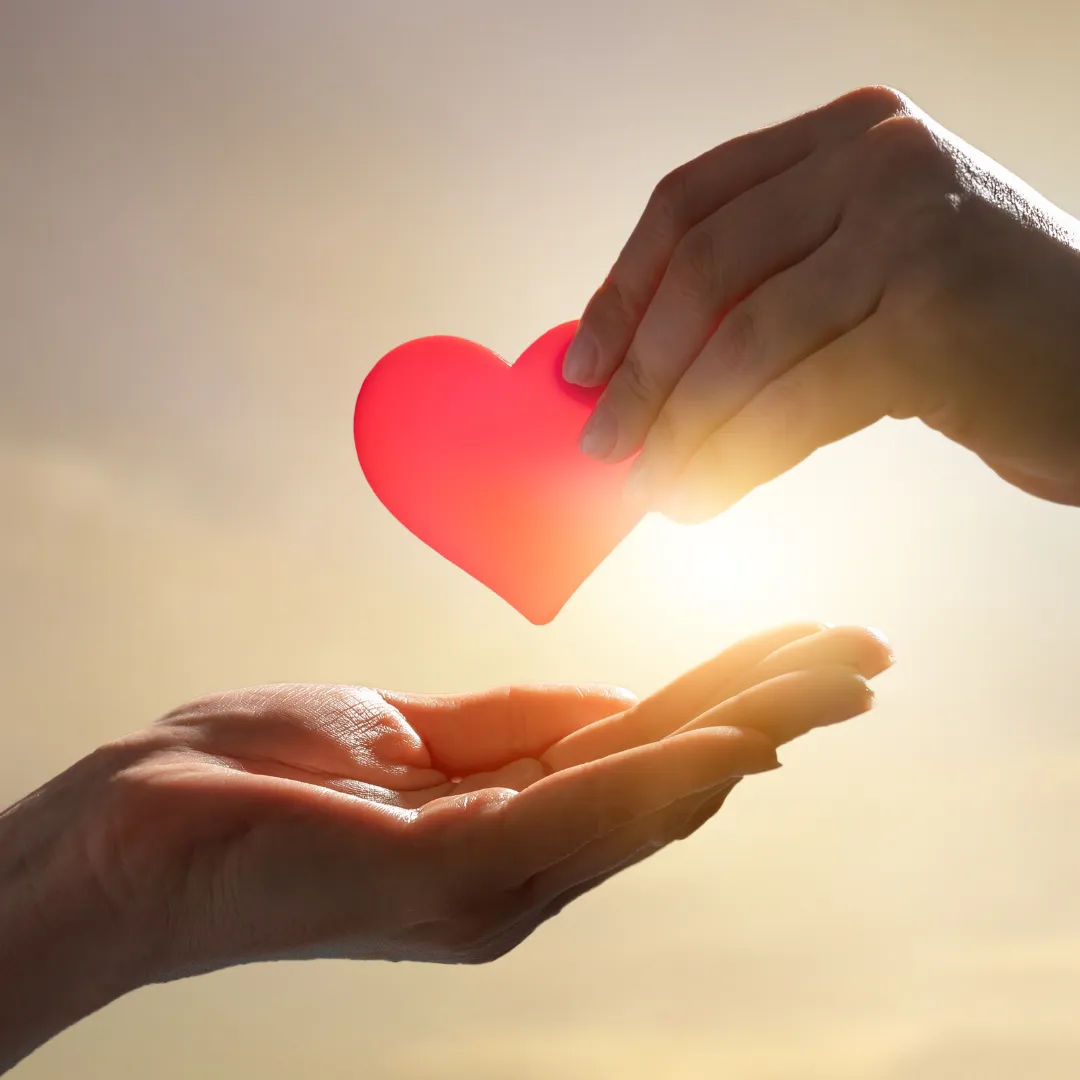 Hand holding a red heart in warm sunlight, representing giving to GECAC